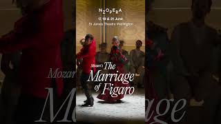 NZ Opera presents The Marriage of Figaro | Teaser trailer 3
