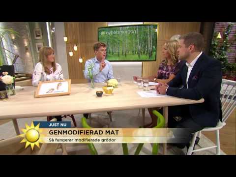 Video: GMO-livsmedel Kan Till Och Med Vara Gynnsamma För Hälsan - Alternativ Vy