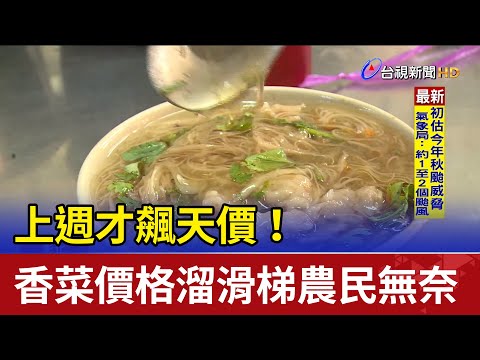 上週才飆天價！ 香菜價格溜滑梯農民無奈
