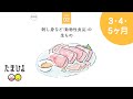 ［離乳食の基本］30秒でわかる！絶対知っておきたい赤ちゃんにNGな食べ物【たまひよ公式】