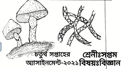 4th Assignment-2021.Class-7.Sub-Science