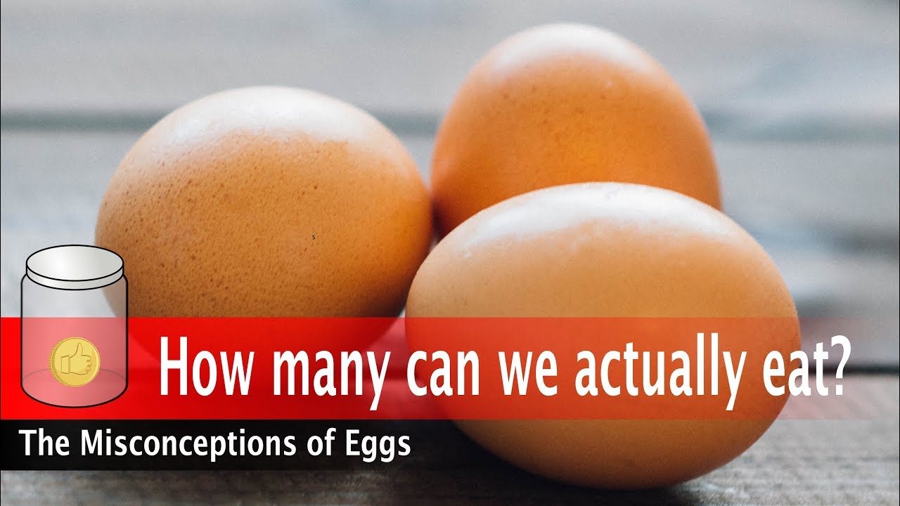 Are eggs good for you? Latest studies YouTube