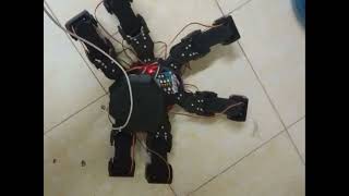 Video Project 2
