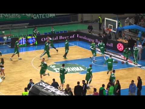 pao osfp basket