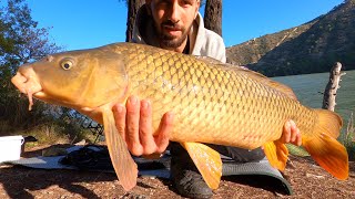 Carp Fishing on the Ebro River Spain 4k