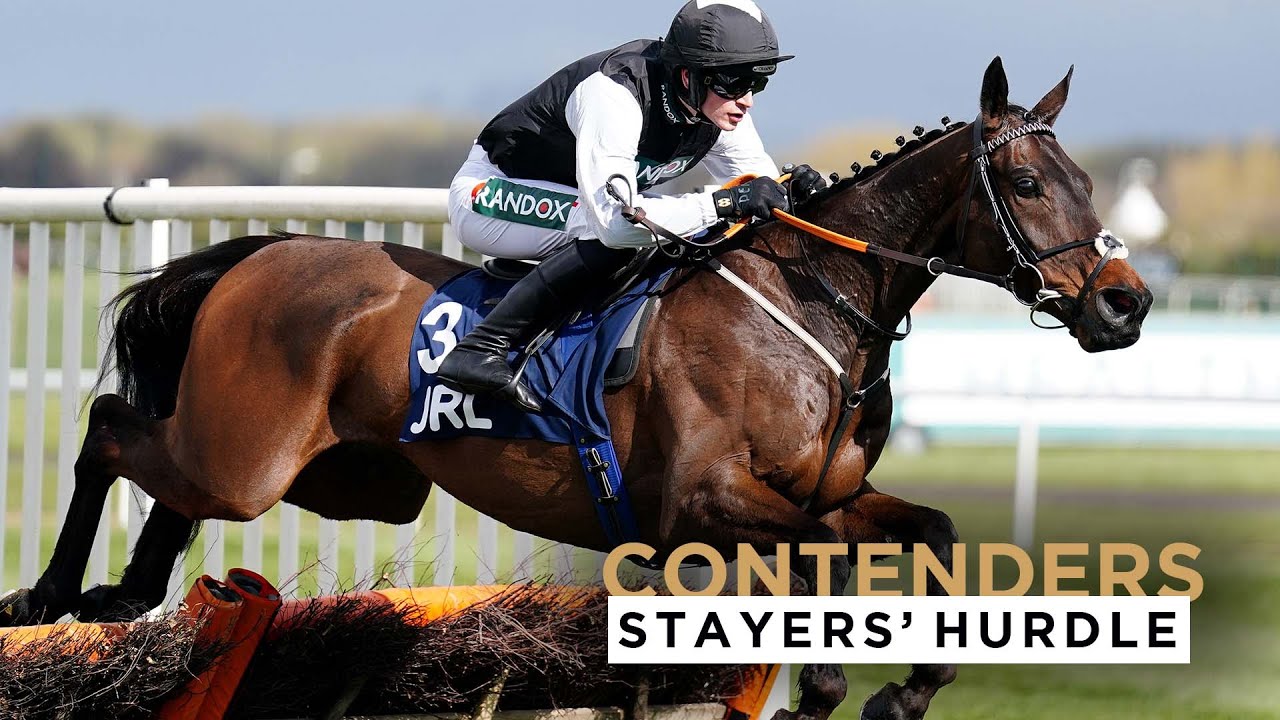 2023 PADDY POWER STAYERS HURDLE CONTENDERS AT THE CHELTENHAM FESTIVAL