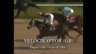 Velociraptor Hot Cazz Lara Koşusu G2 2001