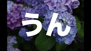 うん 槇原敬之 カバー Piano Version 歌詞付き Youtube