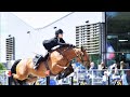 Tuvana Turkish Show Jumper Turkey Showjumping Showjumpinghorse Horseriding Horse 