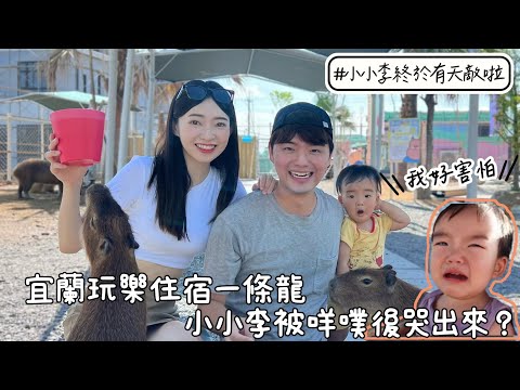 宜蘭親子農場開箱｜兩天一夜輕鬆解決食衣住行｜有玩、有吃還可以親近小動物太值得啦！