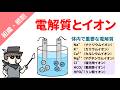 【解剖生理学の基礎】電解質とイオンをわかりやすく解説