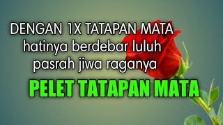 PELET TATAPAN MATA||PELET PANDANGAN MATA PALING AMPUH