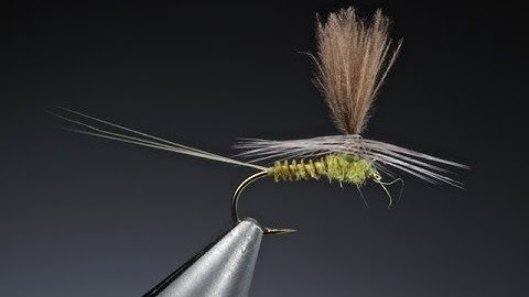 Fly Tying a Para Dun BWO parachute dry fly with Barry Ord Clarke