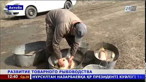 РАЗВИТИЕ ТОВАРНОГО РЫБОВОДСТВА