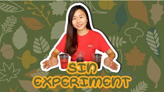 Sin Experiment
