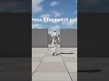 Spline Path System – Movement Framework #shorts