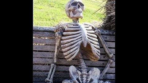 Gradius MSX - Space Graveyard [BAMBOOTRACKER]