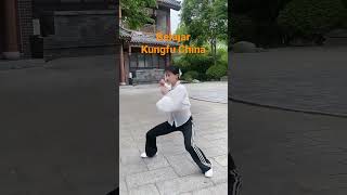 Download Lagu bejar beladiri Kungfu China MP3