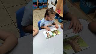 Preschooler reading at Bailey Preschool