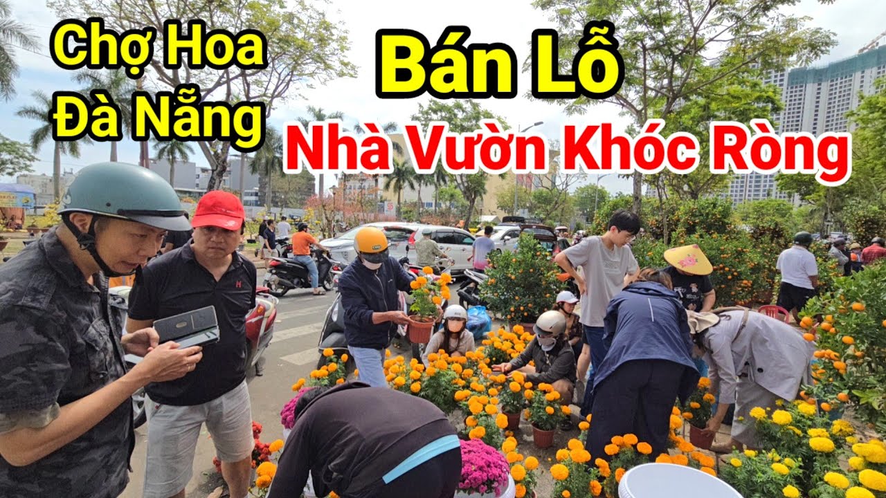 Chợ Hoa Tết Đà Nẵng Giảm Giá Bán Lỗ | Vẫn Vắng Khách Cận Xuân Bính Ngọ