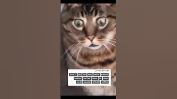 همشونم که پنج سال سابقه کار می‌خوان 😂😑