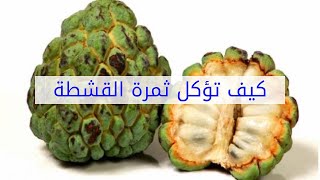 كيف تؤكل ثمرة القشطة