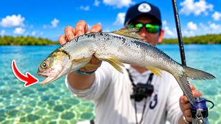 24 Hrs To Catch Florida's MOST Prized Inshore Fish... (SWFL ep: 1)