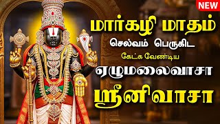 🔴LIVE SONGS | மார்கழி மாதம் அன்று கேட்க வேண்டிய ஏழுமலைவாசா ஸ்ரீனிவாசா Venkateswara Tamil Song