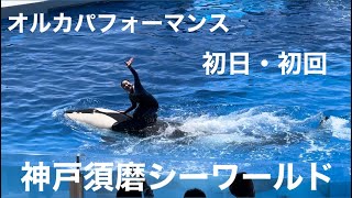 【初日・初回】神戸須磨シーワールド オルカパフォーマンス