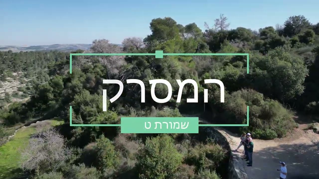 שמורת המסרק