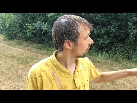 How to attract the flies