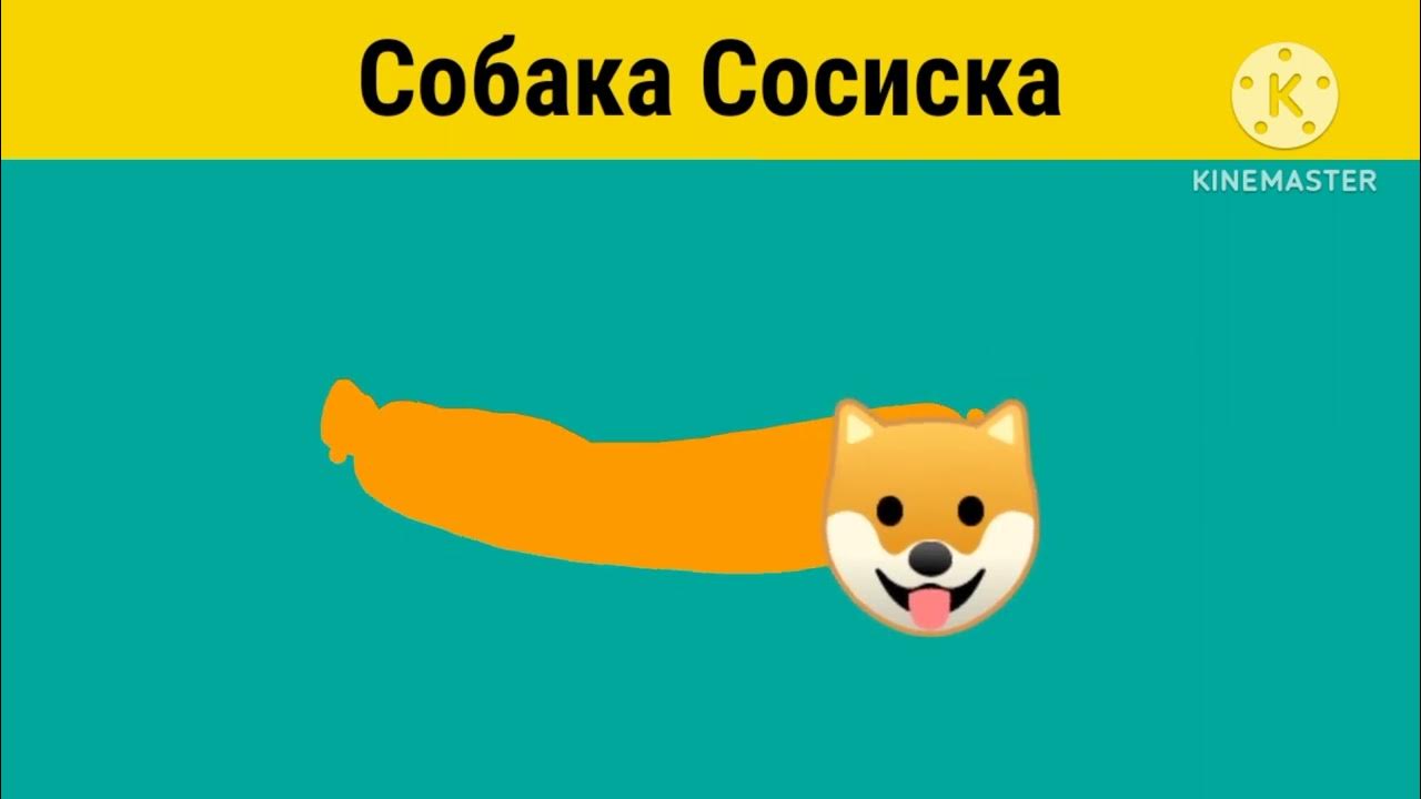 Собака Сосиска (Взял у Папы) - YouTube