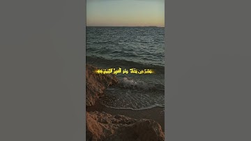 تلاوة مؤثرة | ياسر الدوسري | سورة الروم  #ياسر_الدوسري #yasseraldossary #راحة_نفسية #اكسبلور #المصحف