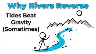 Why Rivers Flow Backwards (And What’s Really Pushing Them)