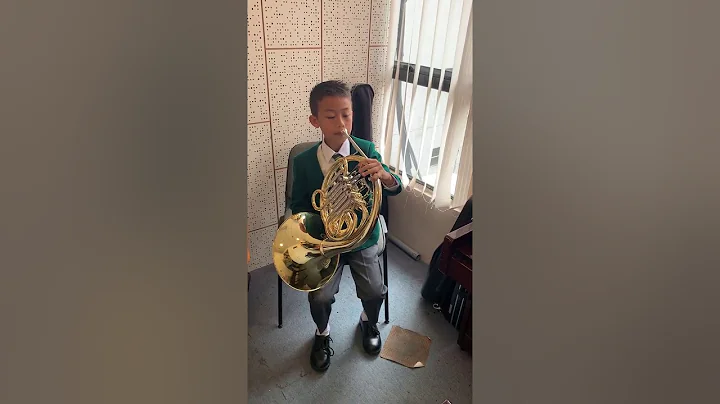 Music@e-Contest 2020 / CAT:C / French Horn / Joen ...