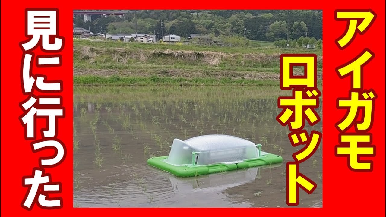 早い者勝ち、最高チャンス、もうそろそろスクラップイセキ田んぼ用運搬車 早い者勝ち、最高チャンス、もうそろそろスクラップイセキ田んぼ用運搬