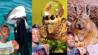 The Most Wholesome Video Youll See Today