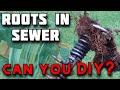 How to Remove Tree Roots from Sewer Pipe - How to Unclog Main Drain Line - Sewer Snake - Rootx