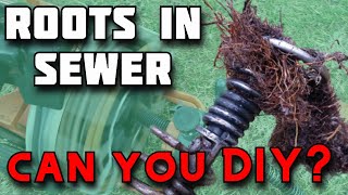 How to Remove Tree Roots from Sewer Pipe  How to Unclog Main Drain Line  Sewer Snake  Rootx