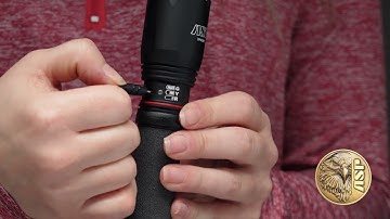 ASP Snapshot - Triad Light