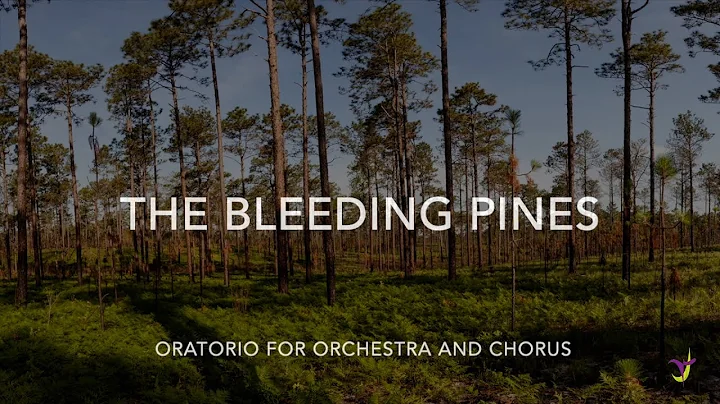 David Ludwig: The Bleeding Pines - Interview & Exc...