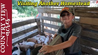 Road Trip to Get Feeder Pigs.  Farm Kids Show us around their Homestead, and show us how it's done.