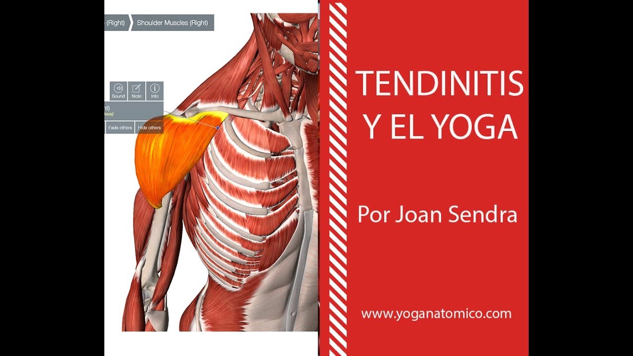 TENDINITIS Y EL YOGA YouTube