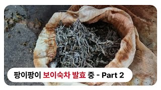 보이차 숙차 제작과정 공개 - 2편