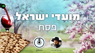 הכנה לפסח: שער הכונות - דרוש ב' - שיעור 4