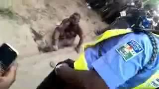 flying bird turns into woman 1