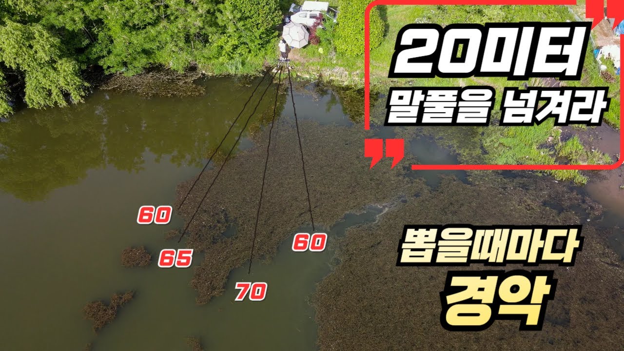 20미터 말풀을 넘겨올 수 있을까? 한마리 잡을 때마다 난리 남