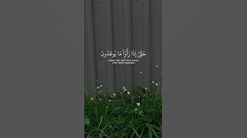 قل من كان في الضلالة فليمدد له الرحمن مدا - القارئ عبدالرحمن مسعد #quran #قران #راحة_نفسية