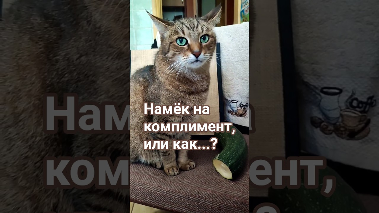 Назвали овощем