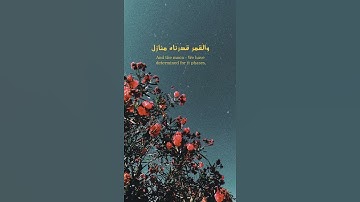 تلاوة من سورة يس للشيخ محمد أيوب رحمة الله عليه